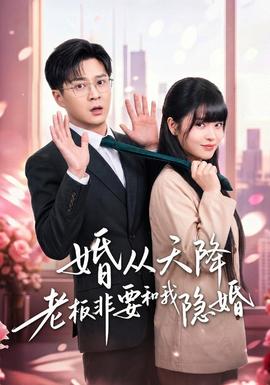 婚从天降老板非要和我隐婚(全集)